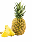 Netto Marken-Discount - Ananas Angebot im Prospekt Ananas bei Netto Marken-Discount im Prospekt "" für 1,00 €