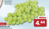 Tafeltrauben hell kernlos im Angebot bei combi in Paderborn Tafeltrauben hell kernlos Angebote bei combi Paderborn für 4,44 €