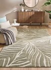 Aktuelles Pianta Moderner Teppich Angebot bei Kibek in Leipzig ab 24,99 €