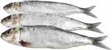 Aktuelle Fisch Angebote bei E center in Mainz Aktuelles Frische Sardinen Angebot bei E center in Mainz ab 0,99 €