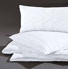 Aktuelles Ganzjahresbett Clima Soft Angebot bei Segmüller in Ingolstadt ab 24,99 €