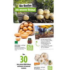 Kartoffeln im Marktkauf Prospekt "Aktuelle Angebote" mit 81 Seiten (Ulm)