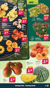 Pilze im Netto mit dem Scottie Prospekt "Günstig. Besser. Für Dich." mit 33 Seiten (Dresden)