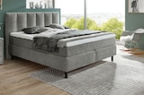 Boxspringbett Angebote von Polster Power bei ROLLER Dormagen für 1.599,00 €