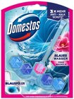 Power 5 Blauspüler oder WC Stein Power 5 Angebote von Domestos bei REWE Bielefeld für 1,29 €
