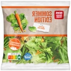 REWE - Sommer Edition Angebot im Prospekt Sommer Edition bei REWE im Prospekt "" für 1,19 €