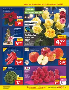 Pflanzen im aktuellen Netto Marken-Discount Prospekt (Freiburg (Breisgau)) Pflanzen im Netto Marken-Discount Prospekt "Aktuelle Angebote" mit 64 Seiten (Freiburg (Breisgau))