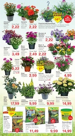 Blumenerde im Jawoll Prospekt in Witten Aktueller Jawoll Prospekt mit Blumenerde, "Sonderposten-Märkte", Seite 10