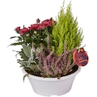 Composition Toussaint en promo chez Carrefour Market Composition Toussaint dans le catalogue Carrefour Market