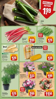Blumen im REWE Prospekt "Dein Markt" mit 31 Seiten (Hamburg)
