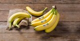 Bio Bananen im Angebot bei REWE in Erkelenz Bio Bananen Angebote von REWE Bio bei REWE Erkelenz für 1,79 €