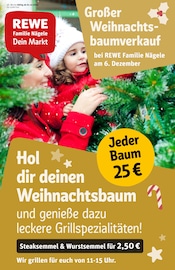 REWE Supermarkt Prospekt der aktuellen Woche mit 28 Seiten, gültig von 01.12.2025 bis 06.12.2025, in Asbach-Bäumenheim und Umgebung Aktueller REWE Supermarkt Prospekt in Asbach-Bäumenheim und Umgebung, "Dein Markt" mit 28 Seiten, 01.12.2025 - 06.12.2025