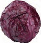 EDEKA Appen - Weißkohl Angebot im Prospekt Weißkohl bei EDEKA im Appen Prospekt für 0,79 €