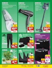 Dessous im Netto Marken-Discount Prospekt in Bergisch Gladbach Aktueller Netto Marken-Discount Prospekt mit Dessous, "Aktuelle Angebote", Seite 41