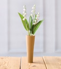 Muguet 3 brins + 1 feuille - Fleurs de France en promo chez Super U Courbevoie à 2,99 €