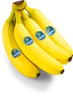 Bananen im Angebot bei Netto Marken-Discount in Stuttgart Bananen Angebote von Chiquita bei Netto Marken-Discount Stuttgart für 1,75 €
