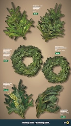 Tannenzweig Angebot im aktuellen Netto mit dem Scottie Prospekt auf Seite 7