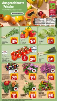 Tomaten im aktuellen REWE Prospekt (München) Tomaten im REWE Prospekt "Dein Markt" mit 30 Seiten (München)
