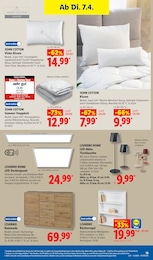 Lidl Regal im Prospekt Lidl Regal im Prospekt