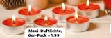 Maxi-Duftlichte im Angebot bei Netto mit dem Scottie in Potsdam Maxi-Duftlichte Angebote bei Netto mit dem Scottie Potsdam für 1,99 €