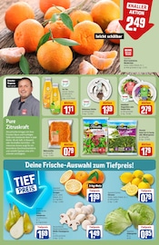 Teppich Angebot im aktuellen REWE Prospekt auf Seite 8