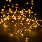 Guirlande Micro LED Câble Cuivre à 16,99 € dans le catalogue Botanic