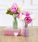5 Pivoines en Vase - Super U à Saint-Chamond 5 Pivoines en Vase en promo chez Super U Saint-Chamond à 5,99 €
