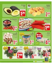 Ähnliche Spargel Angebote im Prospekt "Wir lieben Lebensmittel." von EDEKA in München Ähnliche Angebote wie Spargel im Prospekt "Wir lieben Lebensmittel." auf Seite 5 von EDEKA in München