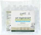 Sel régénérant - Etamine du Lys - NaturéO à Villeneuve-d'Ascq Sel régénérant - Etamine du Lys en promo chez NaturéO Villeneuve-d'Ascq à 4,49 €