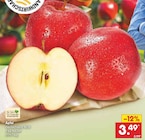Äpfel im aktuellen Netto Marken-Discount Prospekt