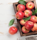 Aktuelles Bio Tafeläpfel Elstar Angebot bei EDEKA in Lübeck ab 2,99 €