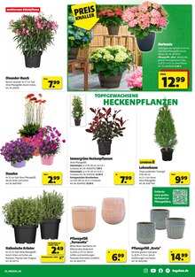 Blumentopf im Hagebaumarkt Prospekt "So günstig geht das!" mit 18 Seiten (Mönchengladbach)