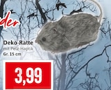 Deko-Ratte bei Kaufhaus Stolz im Rechlin Prospekt für 3,99 €