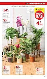 Promos Bricolage dans le catalogue "SUPER U" de Super U Bricolage en promo dans le catalogue Super U à la page 45