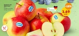 Deutsche rote Äpfel bei Penny-Markt im Zachenberg Prospekt für 1,69 €