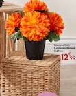 Promo Composition 5 chrysanthèmes à 12,99 € dans le catalogue Maxi Bazar à Herblay