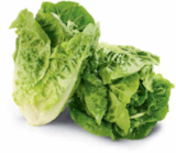 Netto Marken-Discount Handewitt - Mini-Romanasalat Angebot im Prospekt Mini-Romanasalat bei Netto Marken-Discount im Handewitt Prospekt für 0,65 €