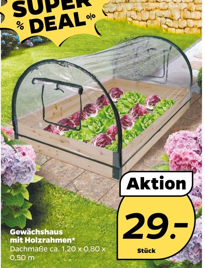 Gewächshaus mit Holzrahmen