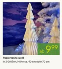 Aktuelle Weihnachtsdeko Angebote bei Pflanzen Kölle in Heilbronn Aktuelles Papiertanne weiß Angebot bei Pflanzen Kölle in Heilbronn ab 9,99 €