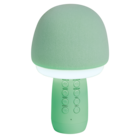 Model WS-910 - WSTER dans le catalogue Gifi