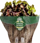 Unsere Heimat Bio Bunte Salate im Angebot bei E center in Karlsruhe Unsere Heimat Bio Bunte Salate Angebote von Demeter bei E center Karlsruhe für 2,49 €