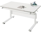 Jugendschreibtisch ,,Diego 120“ im Angebot bei XXXLutz in Schwäbisch Gmünd Jugendschreibtisch ,,Diego 120“ Angebote von Paidi bei XXXLutz Schwäbisch Gmünd für 279,00 €
