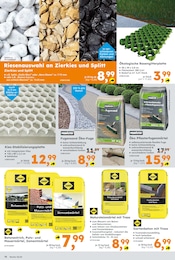 Aktueller Globus-Baumarkt Prospekt mit Dekoration, "Immer eine Idee besser", Seite 16