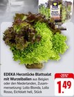 EDEKA Dackenheim Prospekt mit  im Angebot für 1,49 €