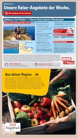 Ähnliche Telefon Angebote im Prospekt "Dein Markt" von REWE in Bayreuth Ähnliche Angebote wie Telefon im Prospekt "Dein Markt" auf Seite 26 von REWE in Bayreuth
