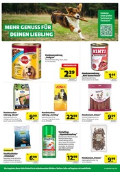 Aktueller Hagebaumarkt Prospekt mit Hundefutter, "GENIESSE DIE KRAFT DER SONNE", Seite 16