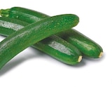 Zucchini im Angebot bei Netto mit dem Scottie in Dresden Zucchini Angebote bei Netto mit dem Scottie Dresden für 1,99 €