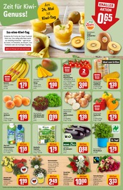 Balkonpflanzen im REWE Prospekt in Wilhelmshaven Aktueller REWE Prospekt mit Balkonpflanzen, "Dein Markt", Seite 14