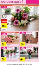 Prix et réduction Jardinage dans le prospectus Carrefour en cours Offre Jardinage dans le catalogue Carrefour du moment à la page 5