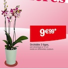 Orchidée 3 tiges en promo chez Carrefour Orchidée 3 tiges dans le catalogue Carrefour